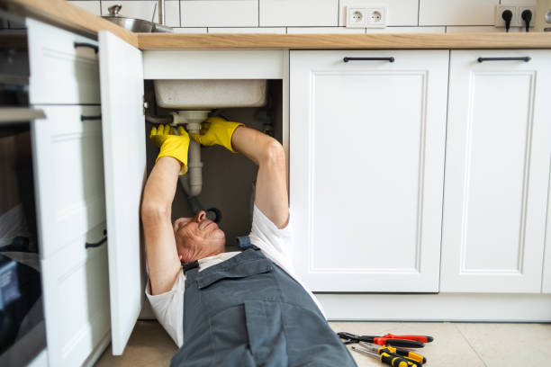 Best Same-Day Plumbing Service  in Union Grove, WI